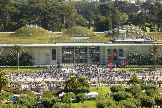 14651 3 california academy of sciences 02