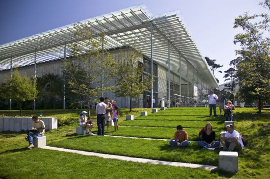14651 3 california academy of sciences 04