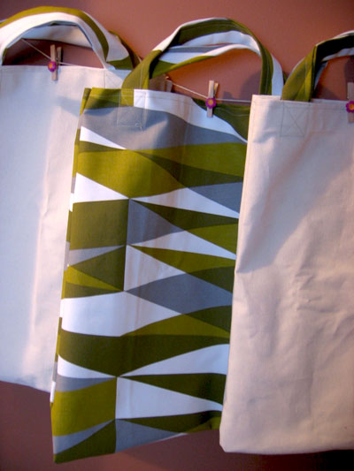 An Eco-Friendly Shopping Bag