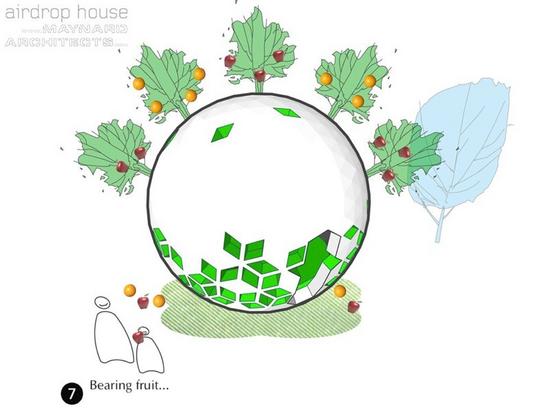 andrew maynard air drop house 9
