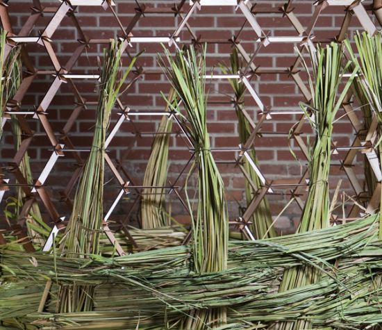 basket shaped installation fills itself with plant