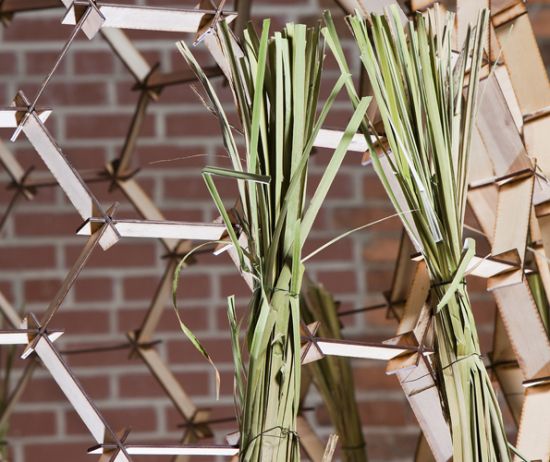 basket shaped installation fills itself with plant