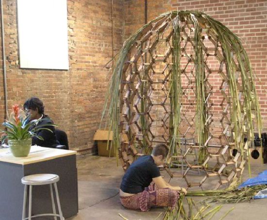 basket shaped installation fills itself with plant