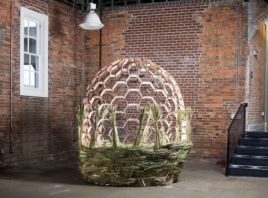 basket shaped installation fills itself with plant