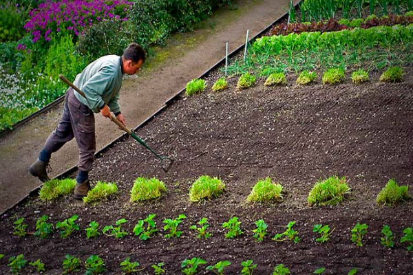 Become a Gardener
