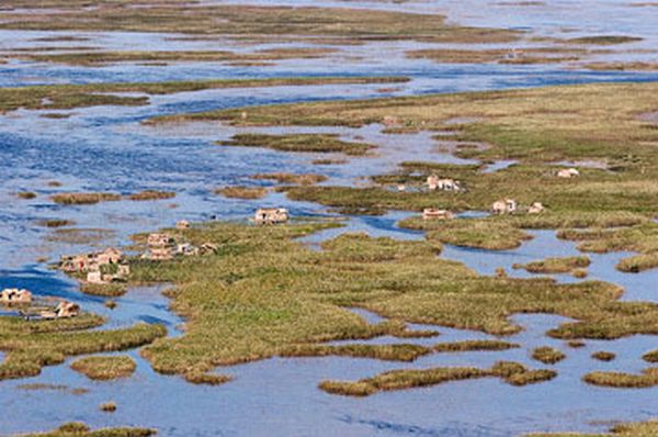 Bangweulu Swamps