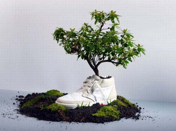 Biodegradable fashion items