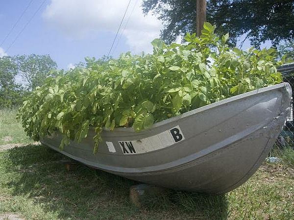 boat for gardening