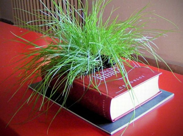 Book planters