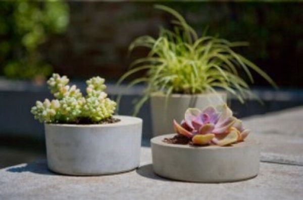 Bottle cap planter