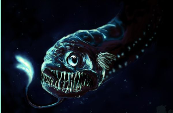 Deep Sea Dragonish