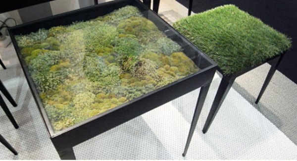 Dry Moss Table
