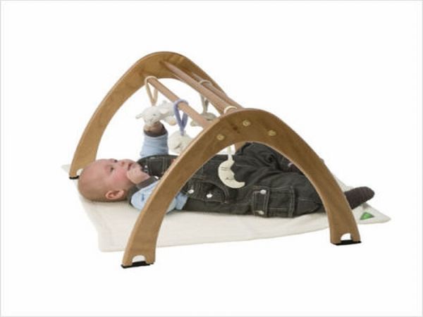 Eco Friendly Cariboo Activity Gym Eco Friendly Cariboo Activity Gym