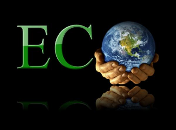 EcoSearch