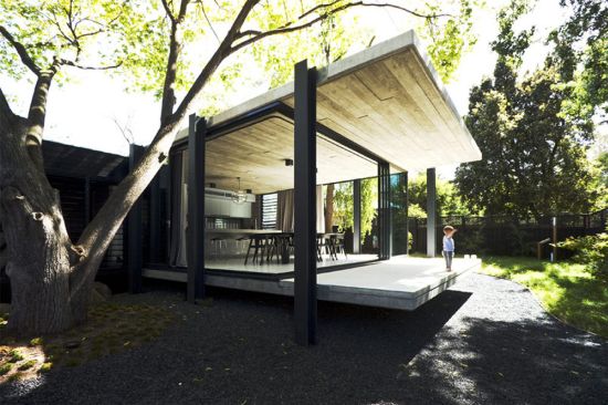 elm and willow 1
