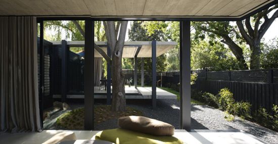 elm and willow 2