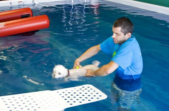 fidos indoor dog park 2