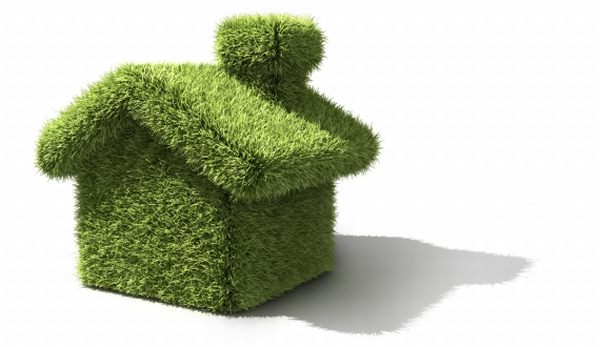 Five most bizarre ways to make your home green