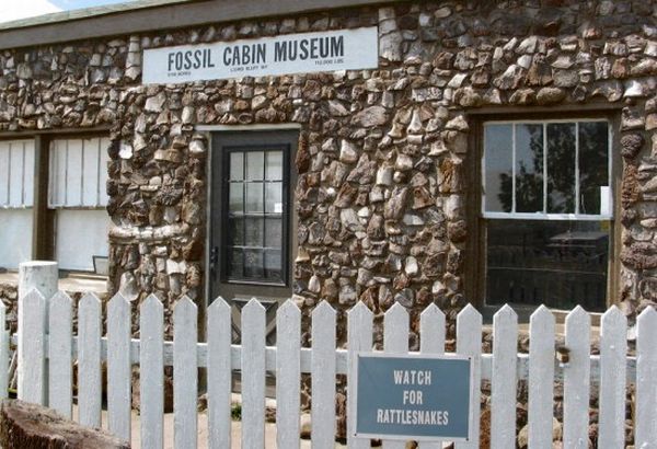 fossil cabin2 550x376