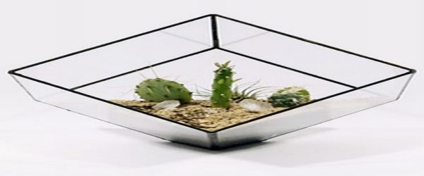 Glass planters