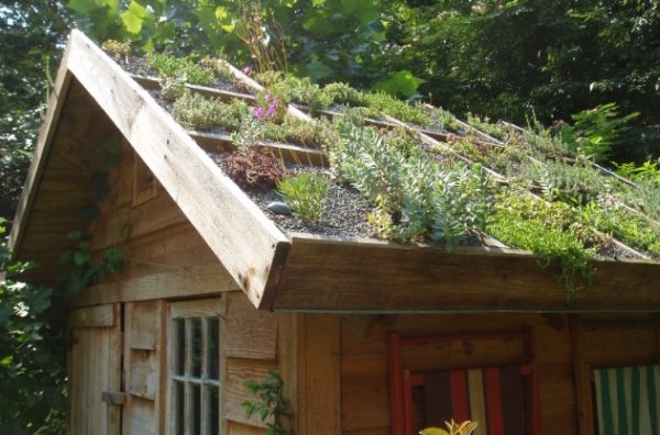 Green Roofs