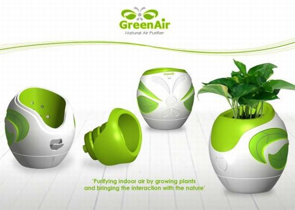 GreenAir Natural Air Purifier