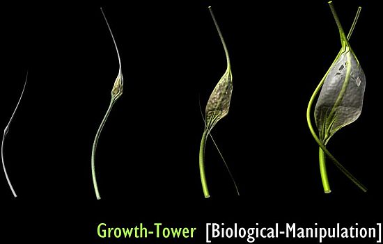 growth tower 1