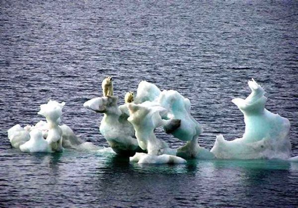 Halting Global warming