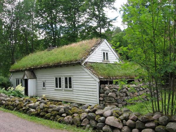 How to build a green roof