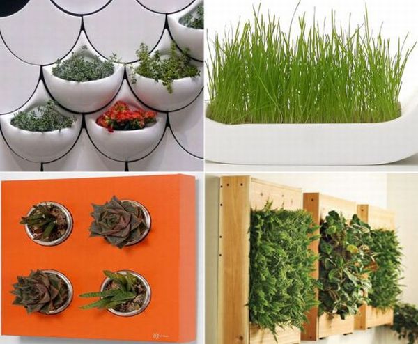 Indoor planters