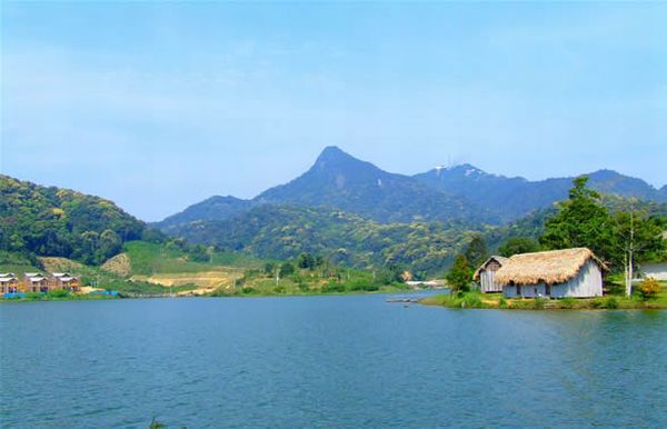 Jianfeng Ridge Tropical Rainforest: