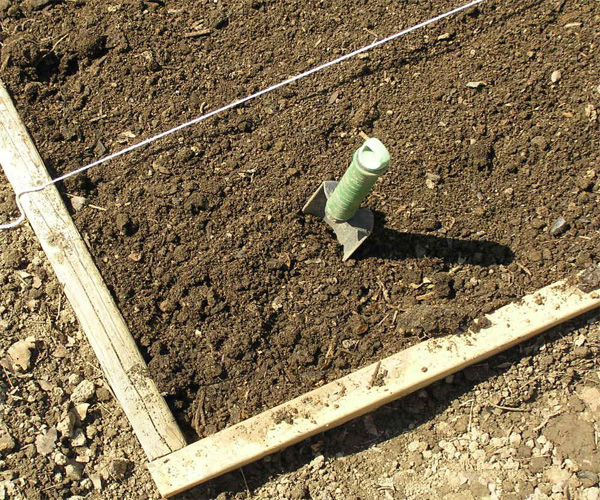 kitchen garden soil