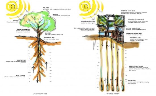 large sustainable tree house 21