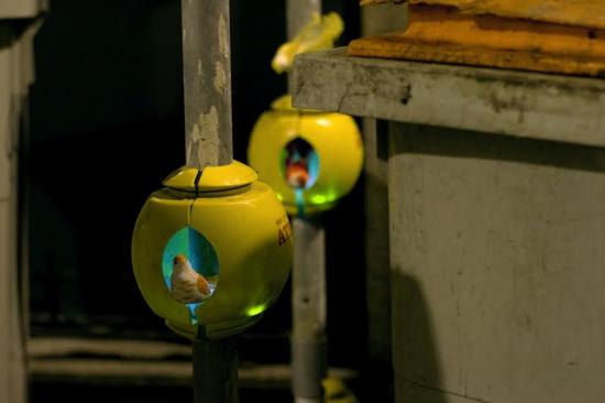 luzinterruptus urban nest light art installation 4