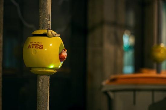 luzinterruptus urban nest light art installation 7
