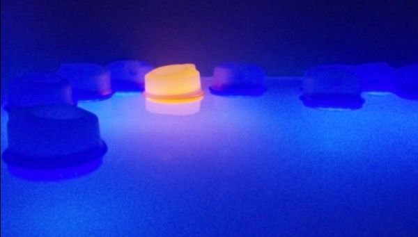 Mayang Anggraeni’s Float Lights 2