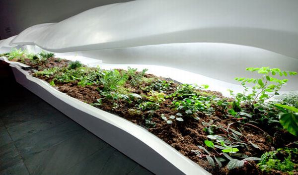 Modern Indoor Planter