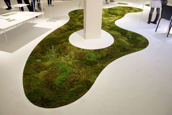 Moss carpet