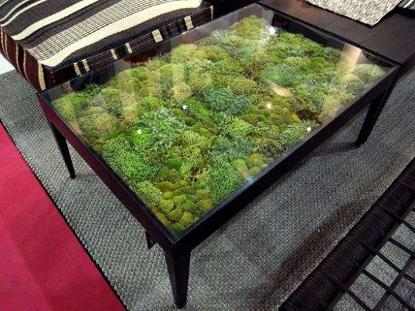 Moss covered furniture