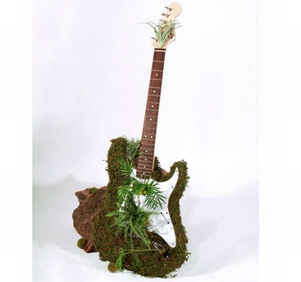 Moss Guitar