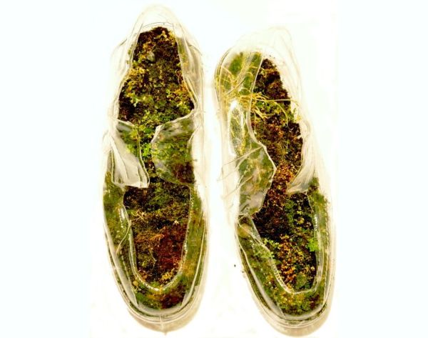 naturas insoles made with moss and rocks 4