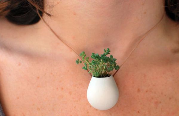 necklace plant3 2