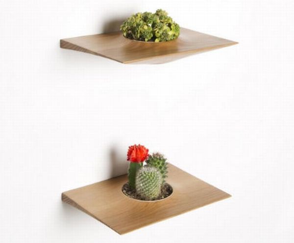 Plant Pods by Domenic Fiorello 2 Plant Pods by Domenic Fiorello 2