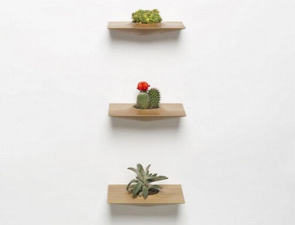 Plant Pods by Domenic Fiorello 3 Plant Pods by Domenic Fiorello 3