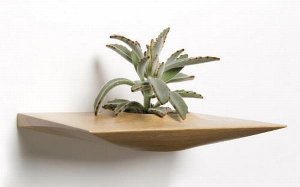 Plant Pods by Domenic Fiorello 4 Plant Pods by Domenic Fiorello 4