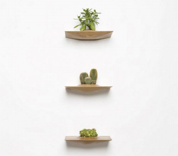 Plant Pods by Domenic Fiorello 5 Plant Pods by Domenic Fiorello 5