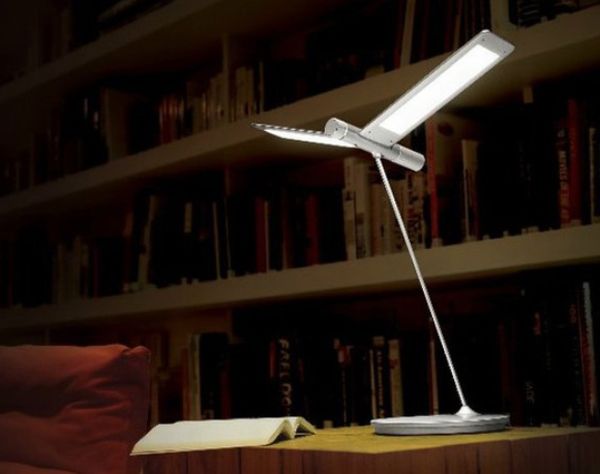 Qis Designsâ Seagull Lamp