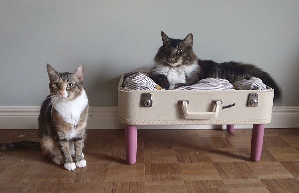 Recycled Pet Bed