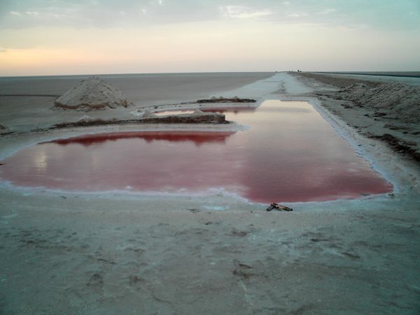 Red salt lake