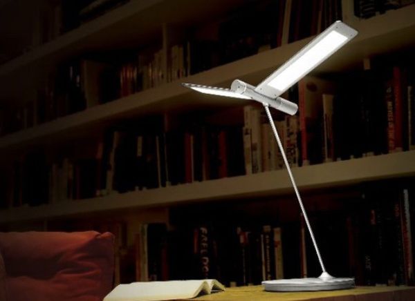 Seagull Lamp